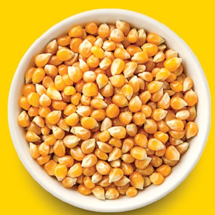 Maize grains